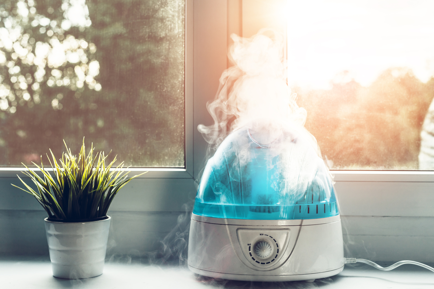 How Air Purifiers Can Help Patients With Asthma and Allergies